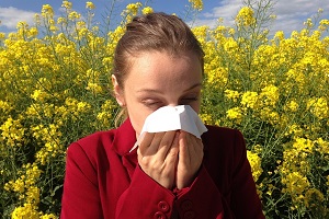 myjka parowa sposobem na alergeny