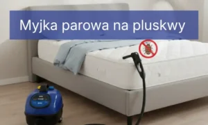 Myjka parowa na pluskwy